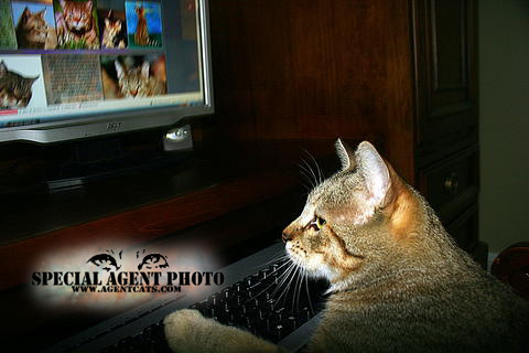 Photo of Legacy by Lynn